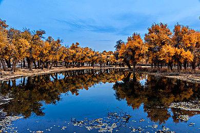 《龙骑士传说》非官方PC移植版推出 支持4K＆60fps